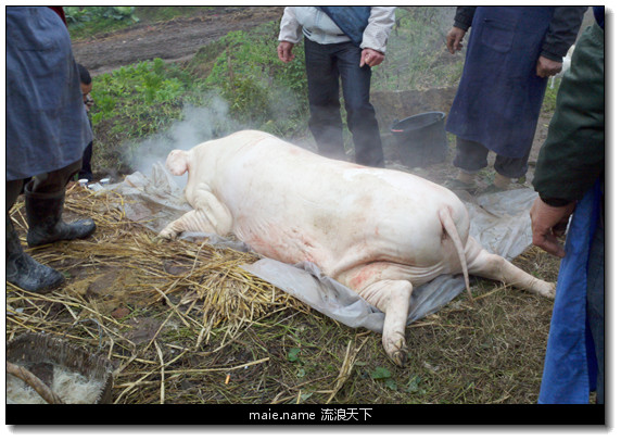 繁花似锦