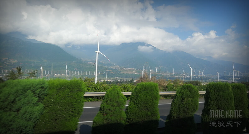 沙棘果