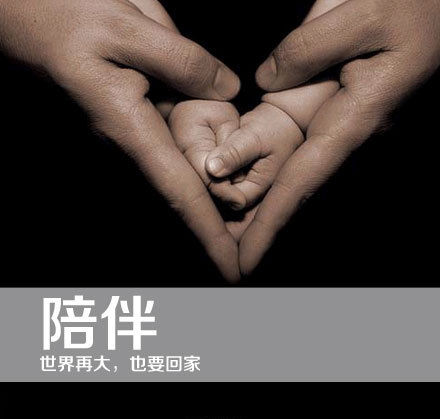 2013，陪件