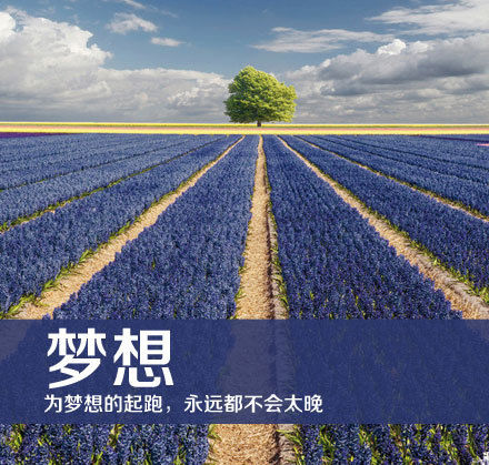 2013，梦想