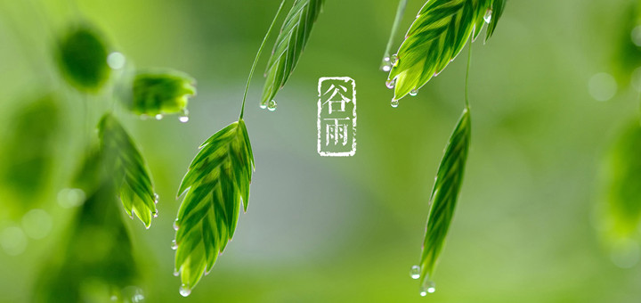 谷雨