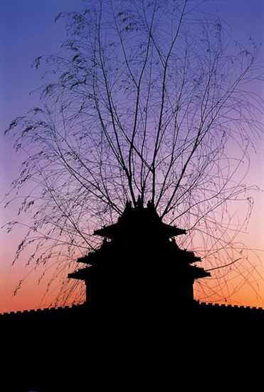 角楼上和柳树