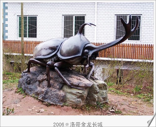 民间俗称推屎爬
