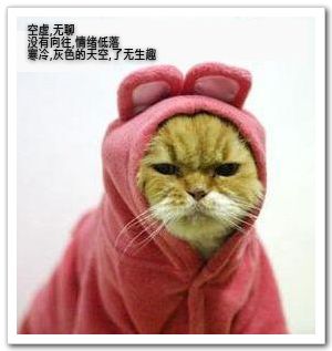 无聊的冬季 无聊的冬季