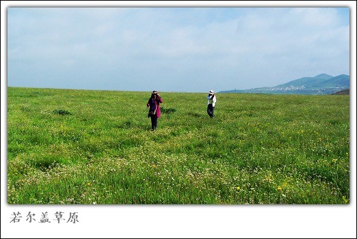 若尔盖草原