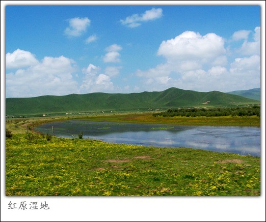 红原草原上的内河