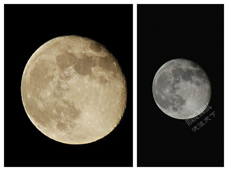 The Moon,你看月亮的屁股