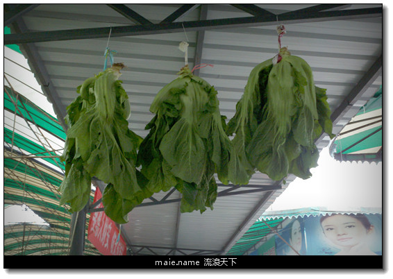 奶奶菜挂冬菜