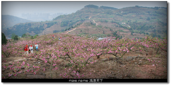 回望仰天窝山顶
