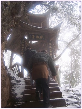 青城后山,真正的雾化镜头效果