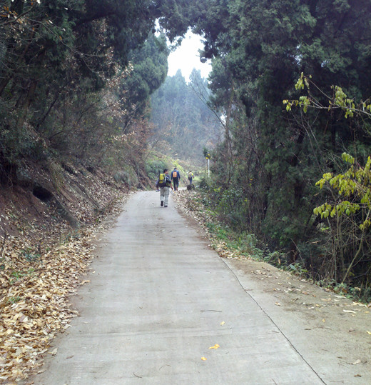 直上的盘山路