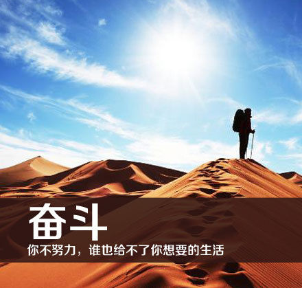 2013，奋斗