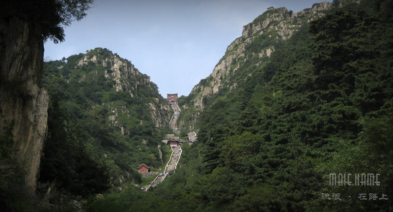 泰山